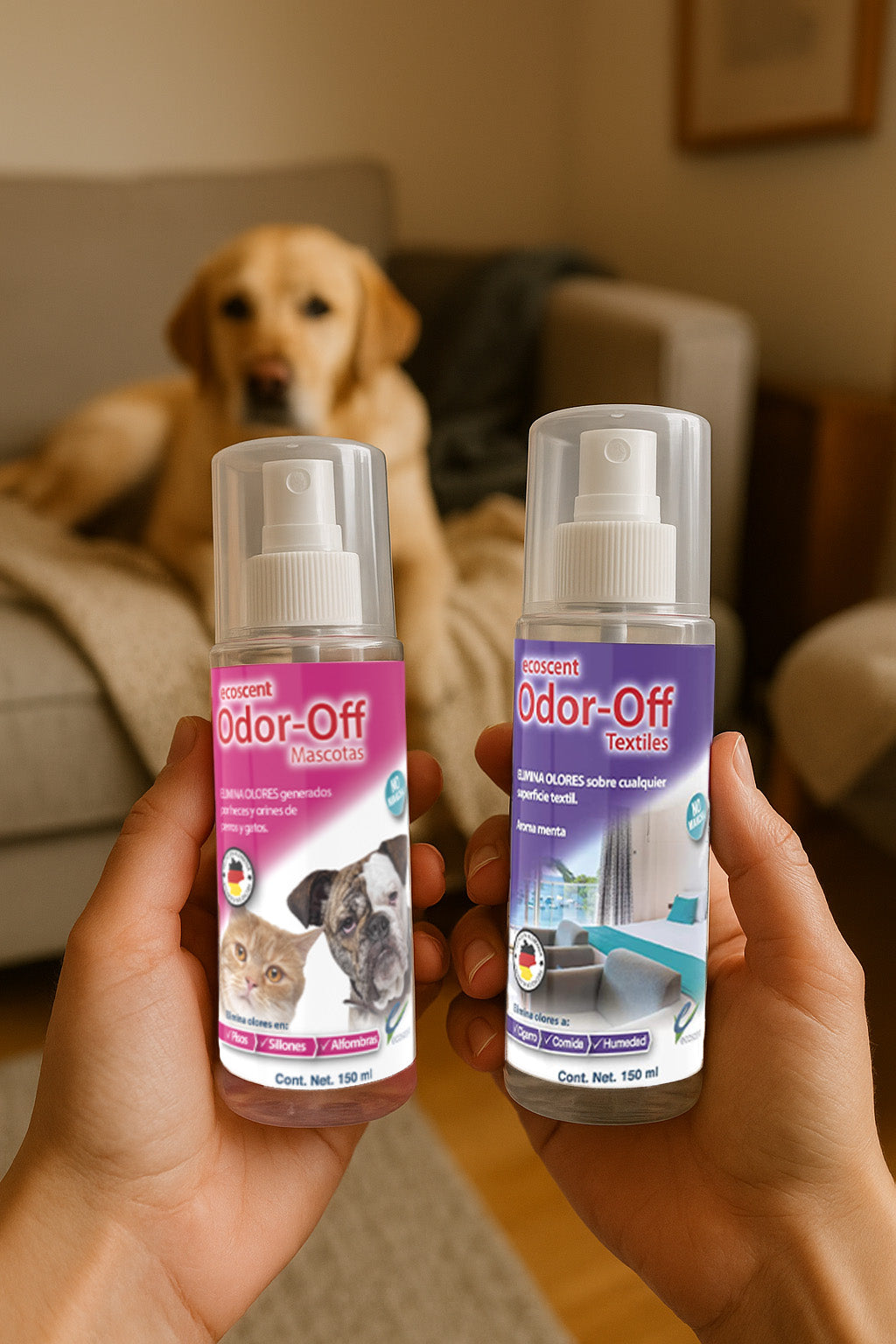 Mascotas Felices, Hogar Fresco